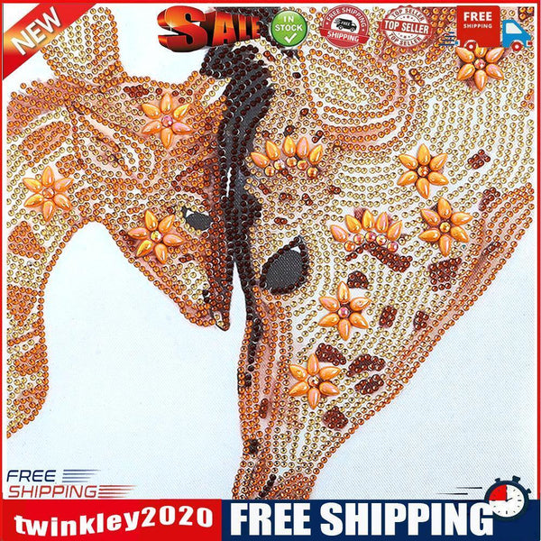 5D Girl Dream Diamond Painting Luminous Special Shape Partial Drill V042