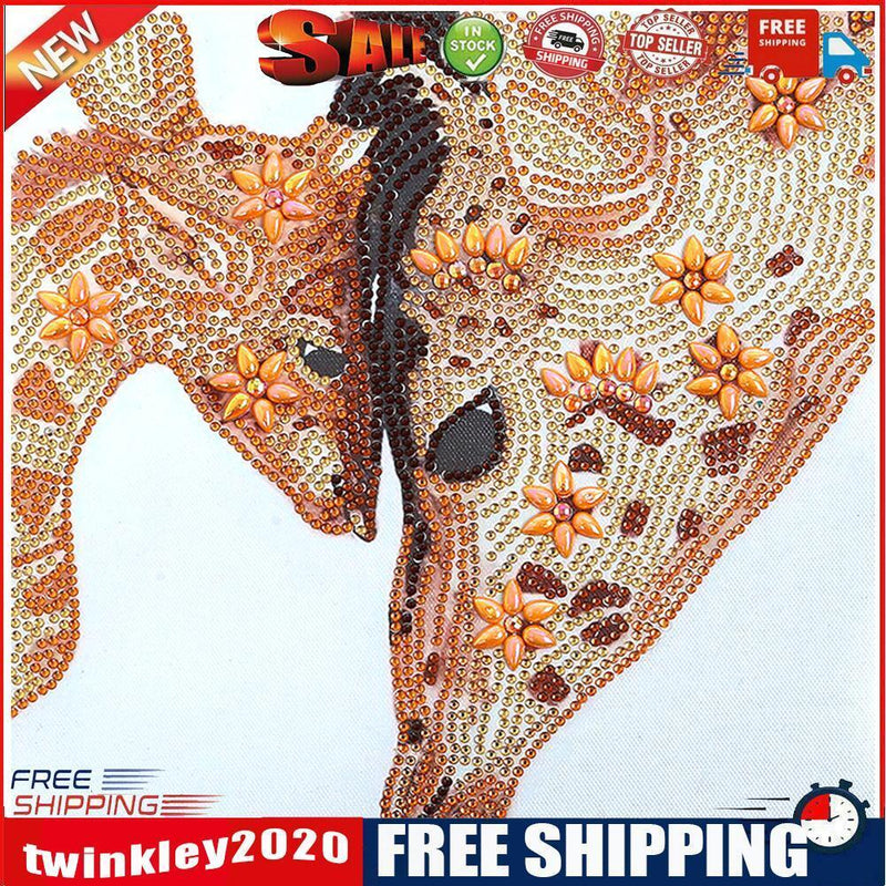 5D Girl Dream Diamond Painting Luminous Special Shape Partial Drill V042