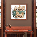 Diamond painting DIY round diamond three puppies B1673