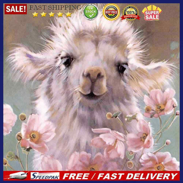 Cute Animal Oil Paint By Numbers Kit DIY Acrylic Painting Wall Art Picture Cr