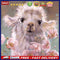 Cute Animal Oil Paint By Numbers Kit DIY Acrylic Painting Wall Art Picture Cr