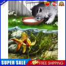 5D DIY Diamond Painting Kits Full Round Drill Playing Cat Mosaic (L3181)