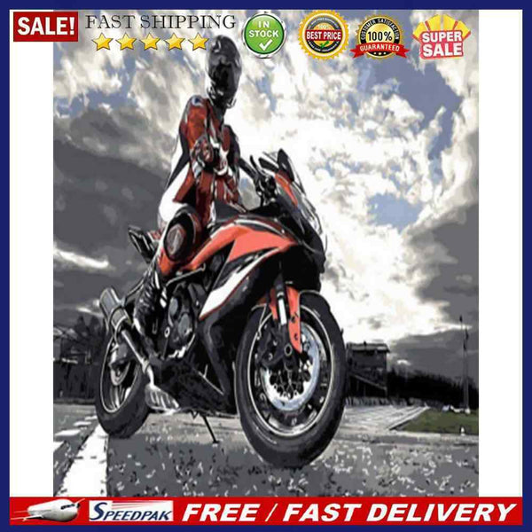 Motor Man Canvas Painted Oil Paint By Numbers Wall Art Modern DIY Bedroom Decor