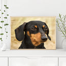 5D Diamond Painting Animal Full Round Drill Rhinestone DIY Art Mosaic Pictu