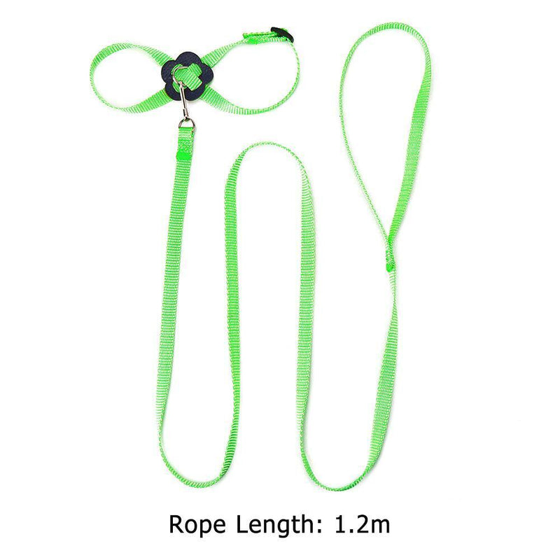 Parrot Leash Adjustable Harness Bird Anti Fly Outdoor Training Rope (Green)