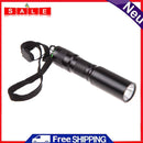 Outdoor MINI Camping LED Flashlight Lamp Torch C3 UV 395nm UV LED Money Detected