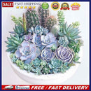 5D DIY Full Round Drill Diamond Painting Succulent Plants Cross Stitch Mosa