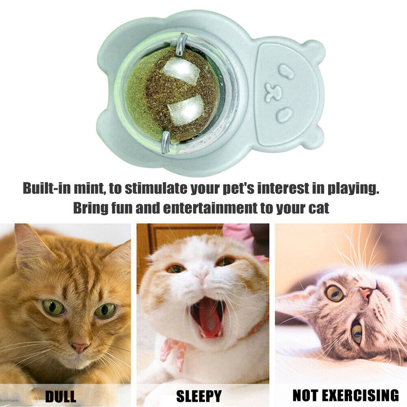 Catnip Ball Pets Cat Toys Licking Kitten Molar Teaser Cleaning Training Sup