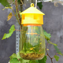 Hornets Flying Traps Killer Wasp Trap Wasp Traps Jar Bee Trapper Bee Catcher