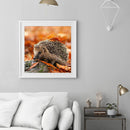 5D DIY Full Round Drill Diamond Painting Hedgehog Embroidery Craft Needlework