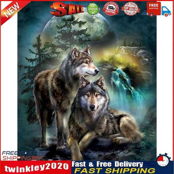 Frameless Oil Paint By Numbers Wolf DIY Canvas Picture Craft Kit for Home Newly