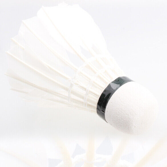 Dark Night 4 Pcs Colorful LED Badminton Feather Shuttlecock Shuttlecocks Ne