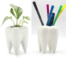 Cute Tooth Shaped Ceramic Succulent Cactus Flower Pot Furnishings` Home T2D9