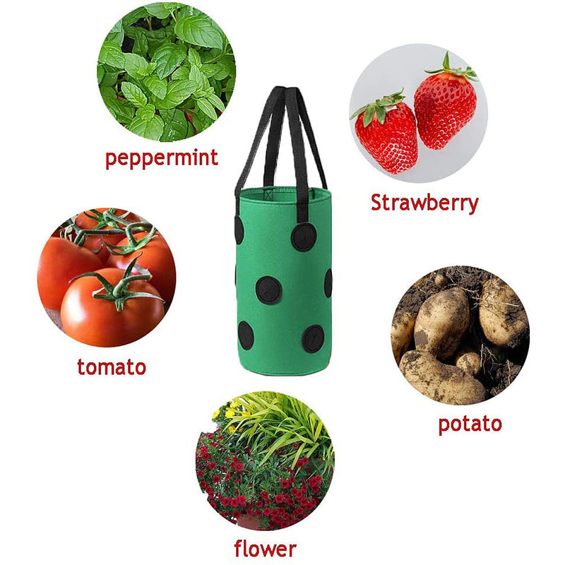 Hanging Strawberry Planter 2pcs Upside-Down Vegetable Glow Bag for House Garden