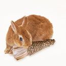 2pcs Rabbit Molar GameToy Woven Carrot Toss Water Grass Supplies for Small Pets