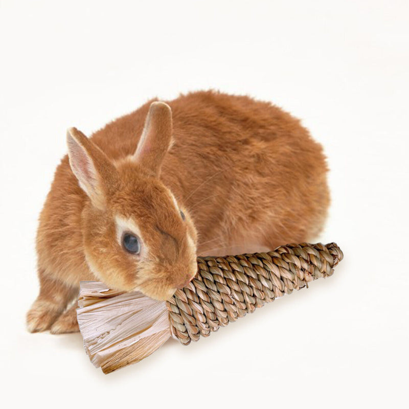 2pcs Rabbit Molar GameToy Woven Carrot Toss Water Grass Supplies for Small Pets