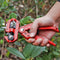 Grafting Garden Scissors Garden Tool Professional Branch Cutter Garden Scissors Ga