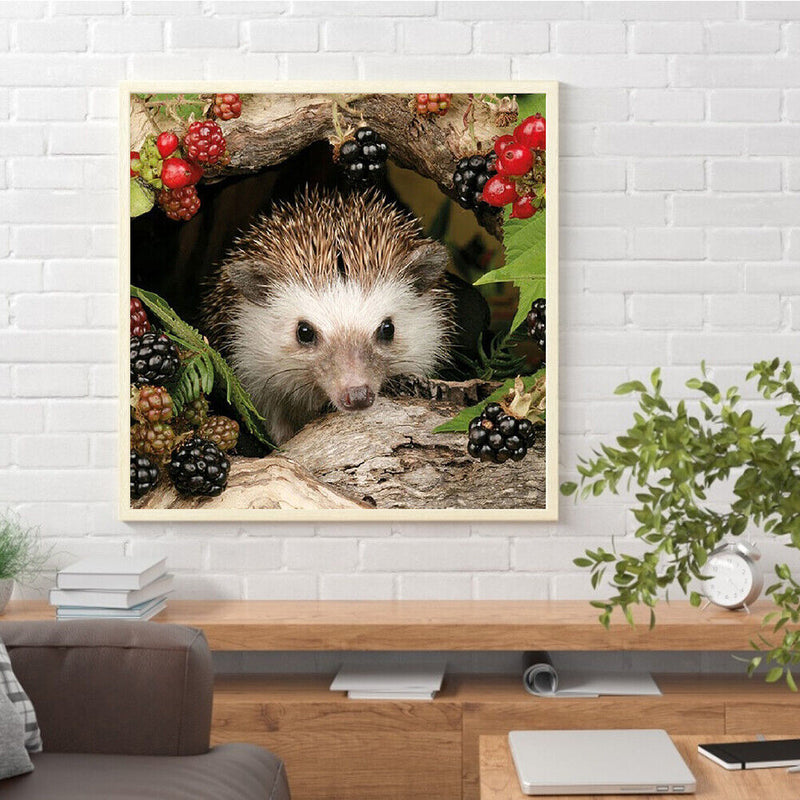 Oil Painting By Numbers Acrylic Handmade Little Hedgehog Digital Picture Decor