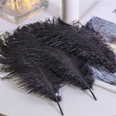 10pcs Fluffy Ostrich Feather Family Room DIY Jewelry Elegant Feather Decor Feather
