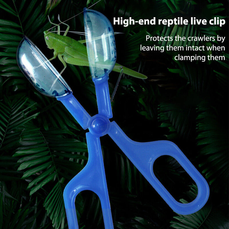 Reptile Terrarium Lizards Tweezers Pet Raising Feeding Tool Clips (Blue) Newly