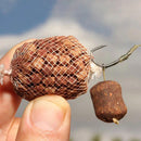 PVA Water Soluble Fishing Carp Fishing Feeder Trap Bait Net Bags (5mx37mm) Newly
