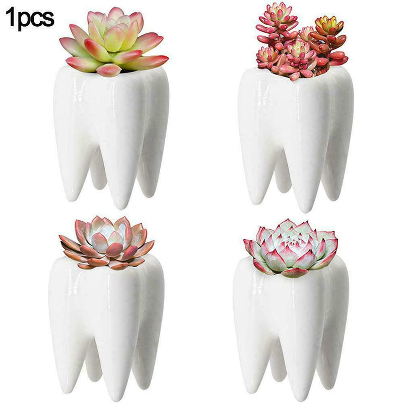 Tooth Shaped Ceramic Flower Pot Planter Plant Holder 7Y6R Succulen Flower Y0N9
