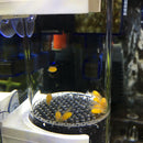 40mm Cichlids Fish Egg Incubator Hatchery Fish Eggs Instead Mouth Brooding Newly