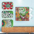 5D DIY Special Shaped Diamond Painting Owl Cross Stitch Mosaic Kit (R111) Newly