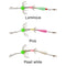 Double Row Fishing Cuttlefish Hook Carbon Steel Squid Hook Tackle (Luminous