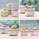 Hand Kneaded Bark Texture Square Pot White Pottery Flower Pot Succulent N9W4