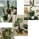 Moss Pole For Indoor Plants - For Indoor Climbing Plants T3F6