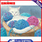 Cat Frameless Oil Paint by Numbers Kit Coloring on Canvas Handpainted Handicraft