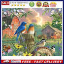 Railing Bird Oil Paint By Numbers Kit DIY Acrylic Painting on Canvas Frameless