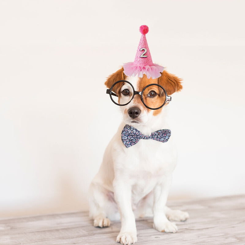 Pet Birthday Caps Headwear Hat Costume with Number Pets Accessories Supplies