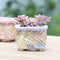 Hand Kneaded Bark Texture Square Pot White Pottery Flower Pot Succulent N9W4