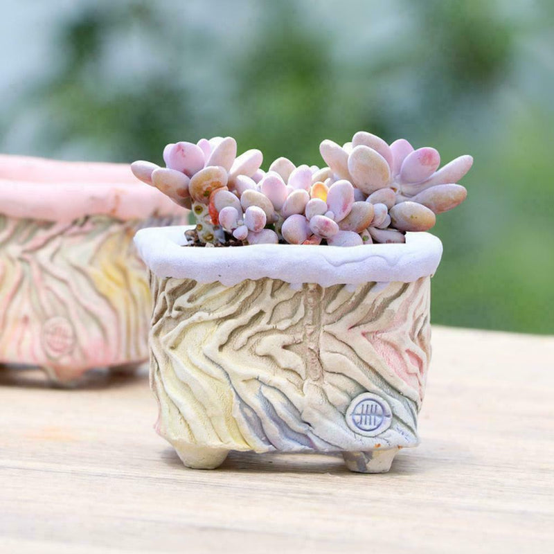 Hand Kneaded Bark Texture Square Pot White Pottery Flower Pot Succulent N9W4