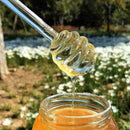 6  Honey Spoon Glass Honey Dipper Stick Syrup Dispenser For Honey Server M3N8