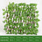 Simulation Fence Outdoor Rural Green Plants Artificial Fence Net Decor (B) Newly