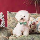 Dog Bow Tie St. Patricks Day Costume Soft Dog Cat Collar with Bow Tie (1) Newly