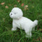 Realistic White Teddy Dog Simulation Dog Puppy Lifelike H9V0 Handmade W9Y9 E6B4