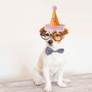 Pet Dog Birthday Hat with Number Cat Headwear Costume Party Decoration Suppli