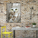 5D DIY Diamond Painting Full Drill Mosaic Kits Owl Cross Stitch Embroidery Decor