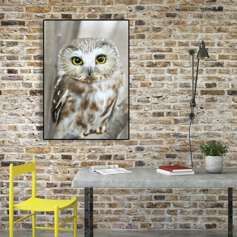 5D DIY Diamond Painting Full Drill Mosaic Kits Owl Cross Stitch Embroidery Decor