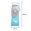 500ML Outdoor Sports Water Cup Gradient Frosted Leakproof Water Jug for Out