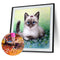 5D DIY Round Drill Diamond Painting Cat Cross Stitch Embroidery Mosaic Kit Newly