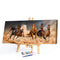 Galloping Horses Oil Paint By Numbers Kits Canvas Picture Wall Art DIY Craft Set