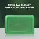 Wormwood Soap Anti-fungal Anti-itch Mites Acne Bath Soap Oil Control.