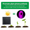 5m Solar Panel Full Spectrum Phyto Lamp 2835 SMD LED Plant Grow Light Strip