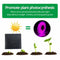 5m Solar Panel Full Spectrum Phyto Lamp 2835 SMD LED Plant Grow Light Strip