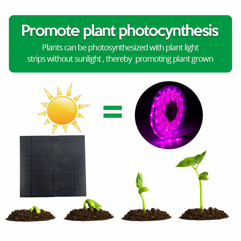 5m Solar Panel Full Spectrum Phyto Lamp 2835 SMD LED Plant Grow Light Strip